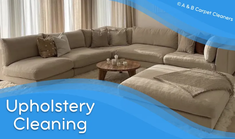 Professional Upholstery Cleaning
